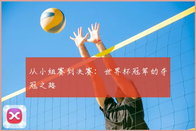 从小组赛到决赛:世界杯冠军的夺冠之路
